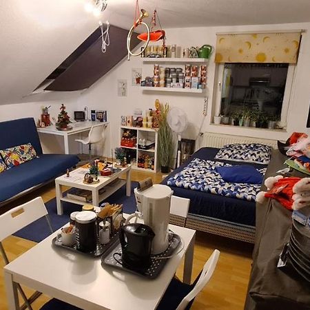 Business-Travel-Apartment & Ferienwohnung Muenster, Kontaktloser Check-In Von 15 Bis 24 Uhr Moeglich, Mit Sb-Kiosk エクステリア 写真